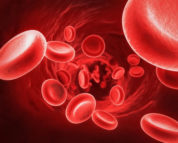 MCV là một trong những xét nghiệm quan trọng cho thấy thể tích trung bình của hồng cầu trong máu